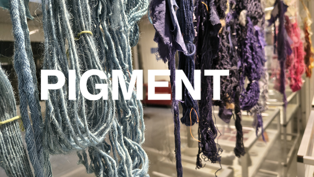 Pigment