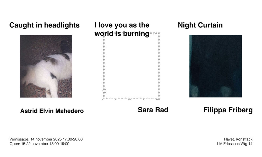 Caught in the headlights / I love you as the world is burning / Night curtain