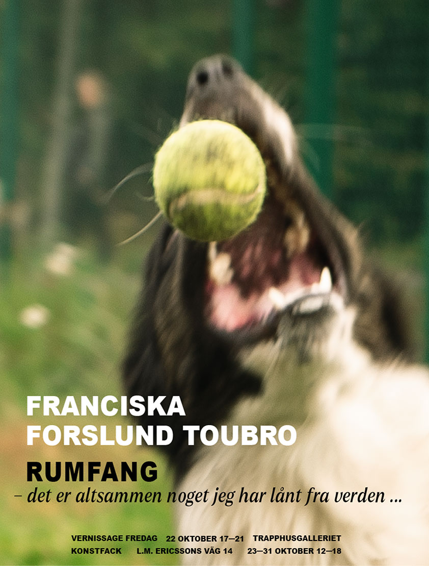 rumfang — det er altsammen noget jeg har lånt fra verden…